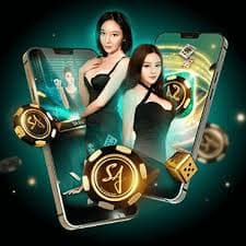 6566 com bet